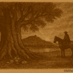 Sepia-toned illustration on aged parchment showing a massive ombú tree rising alone on the Uruguayan pampas at dawn. Its thick, gnarled trunk and wide canopy cast deep shade over the grassy landscape. At its roots lie small offerings of flowers, bread, coins, and ribbons. Nearby, a lone gaucho on horseback pauses in quiet reverence, silhouetted against the warm glow of the rising sun. “OldFolktales.com” is inscribed in the bottom right corner.